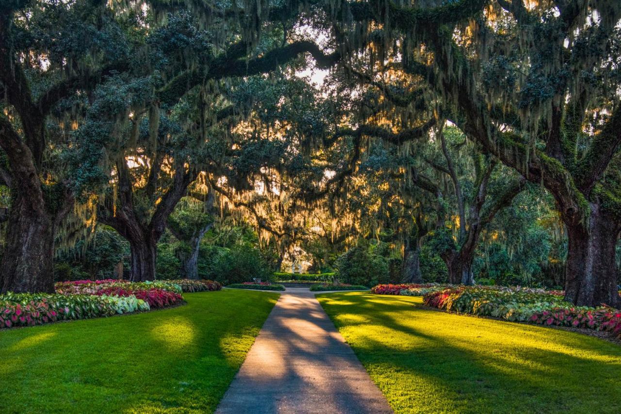 Oasis On The Greens شاطئ ميرتل المظهر الخارجي الصورة